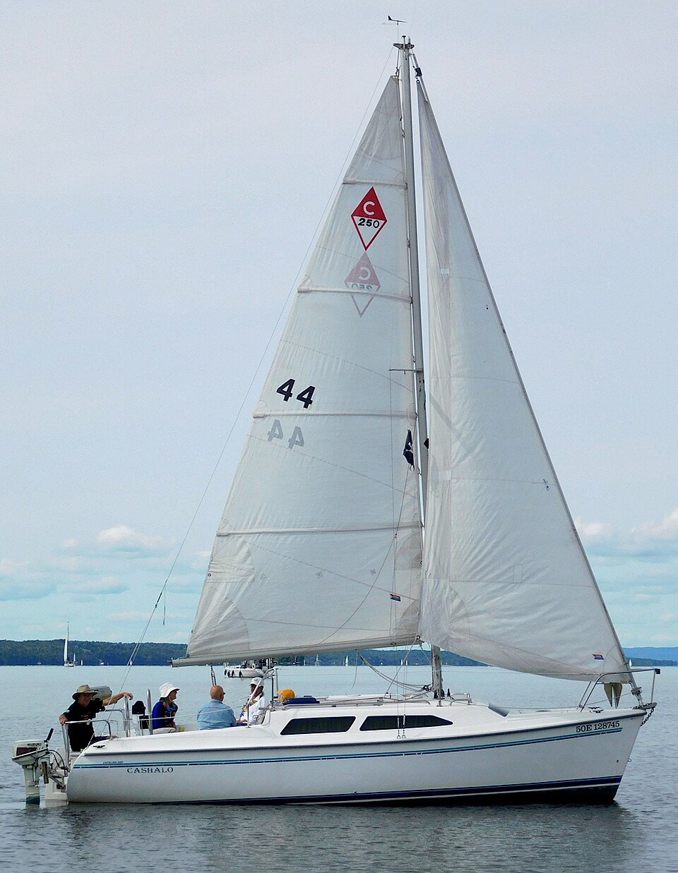 Catalina 250