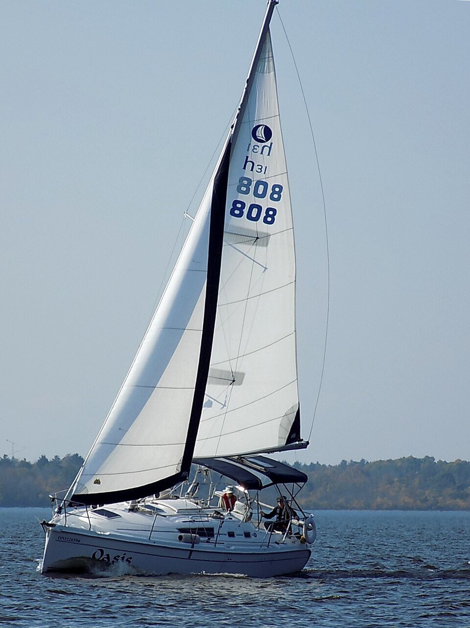 Hunter 31